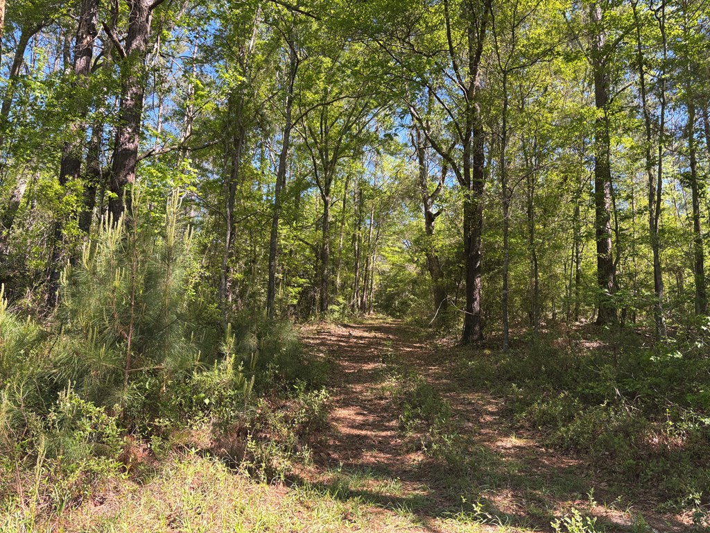 0 County Road 6618