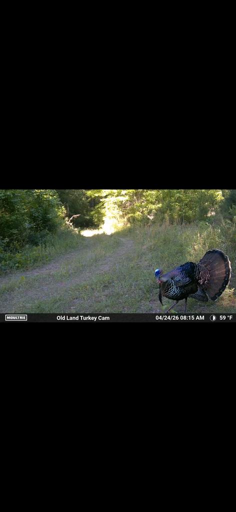 0 County Road 6618