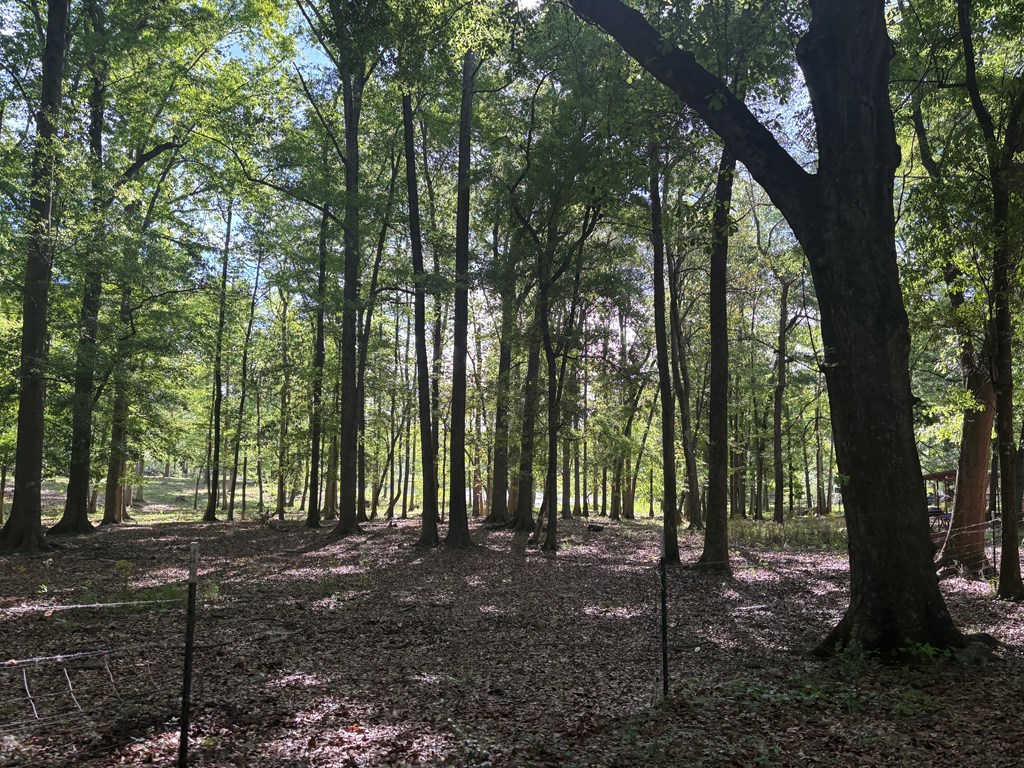 2365 County Road 2225