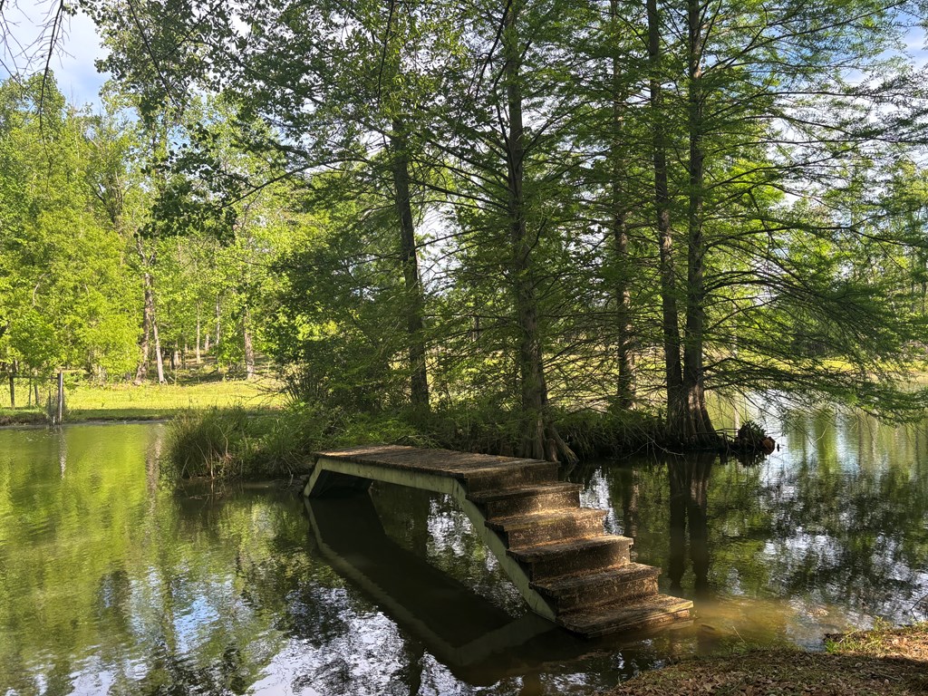 2365 County Road 2225