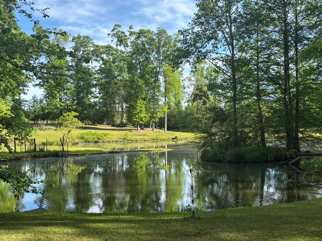 2365 County Road 2225