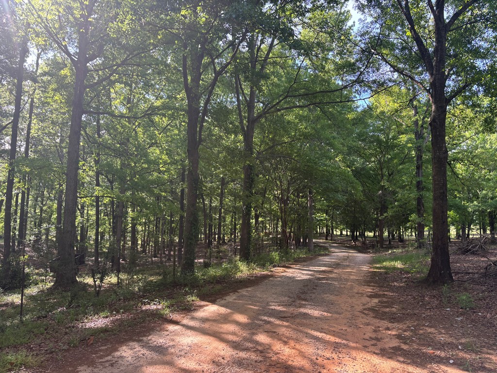 2365 County Road 2225