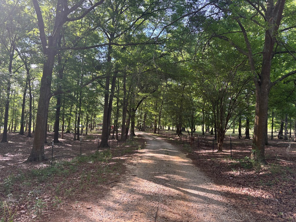 2365 County Road 2225