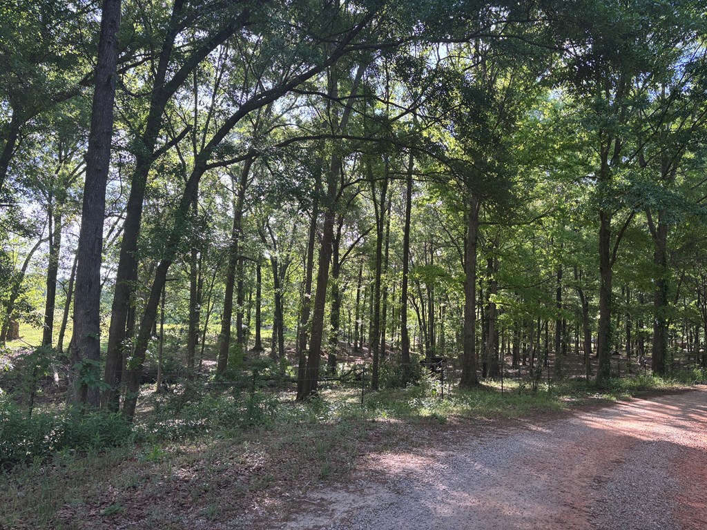 2365 County Road 2225