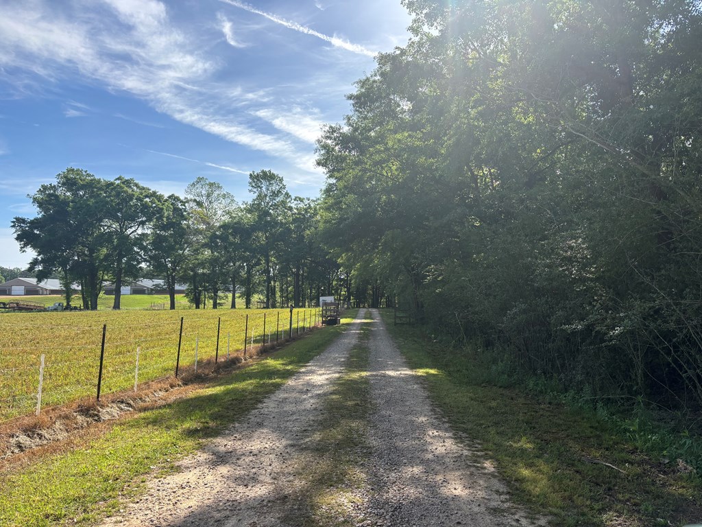 2365 County Road 2225