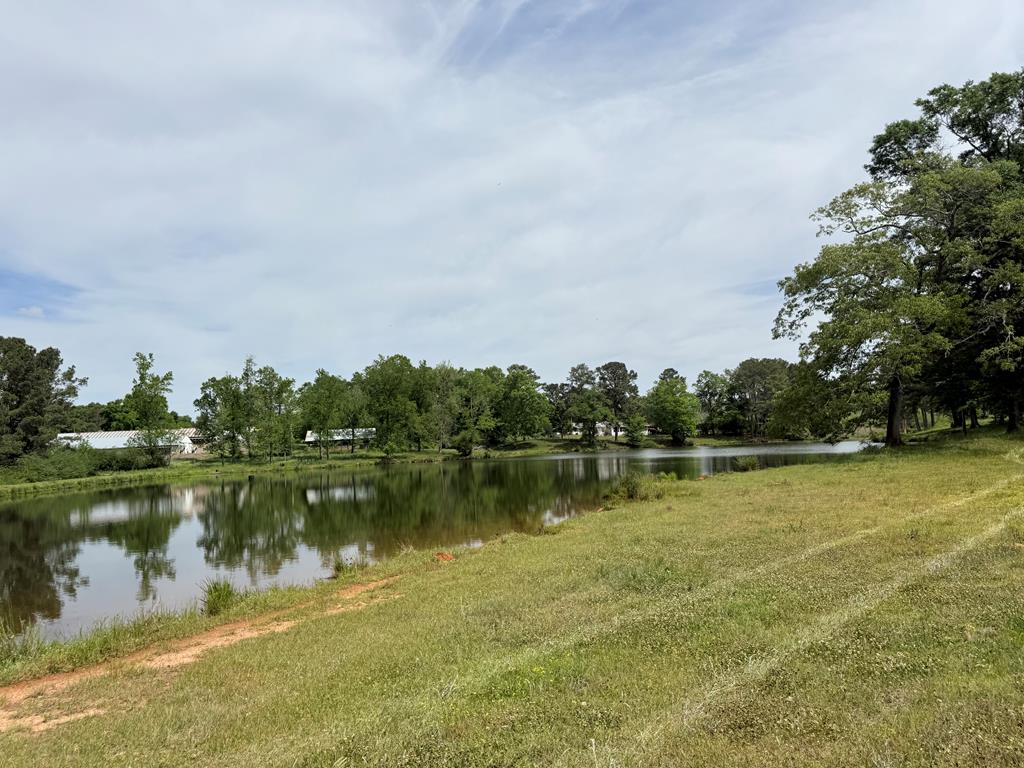 691 County Road 3310