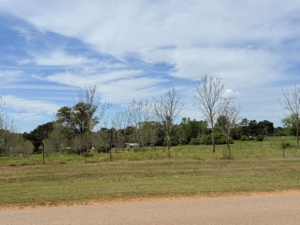 691 County Road 3310