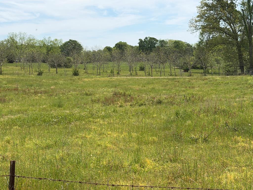 691 County Road 3310