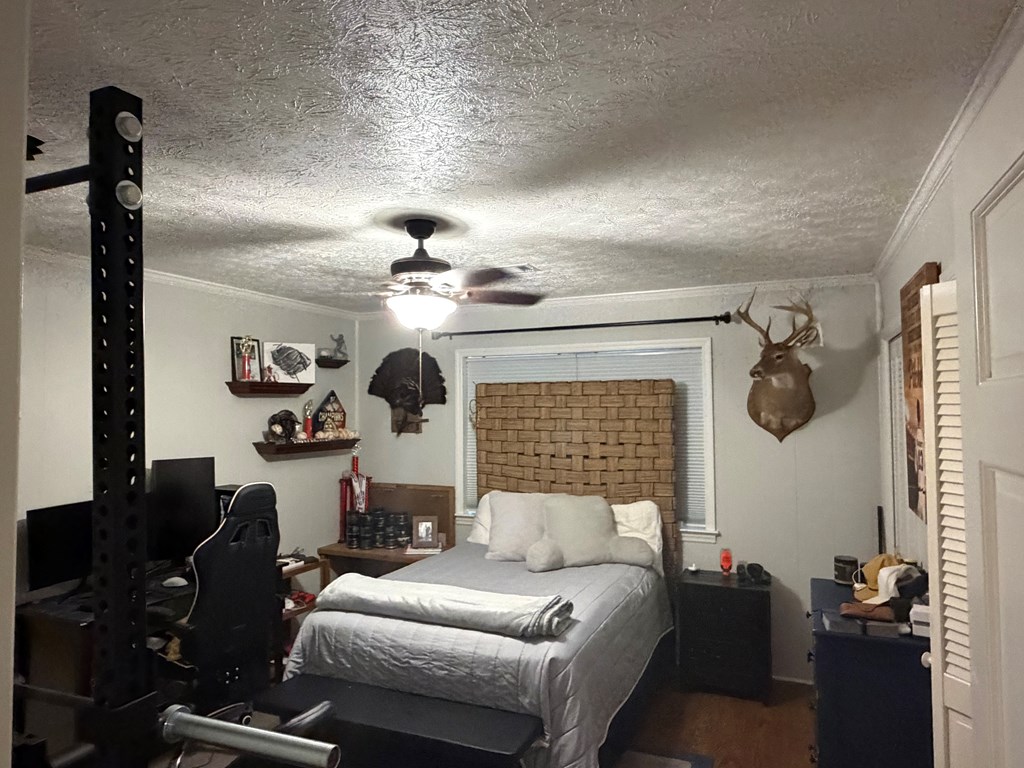 691 County Road 3310