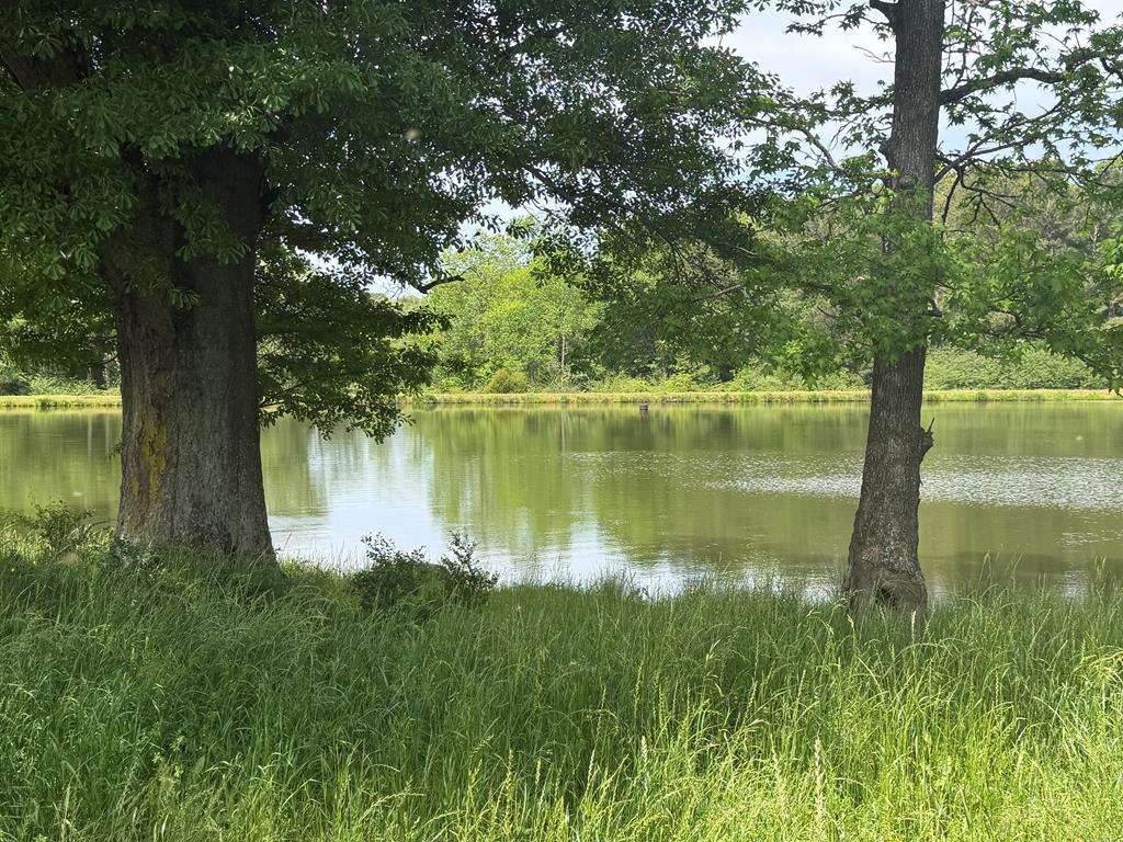 691 County Road 3310