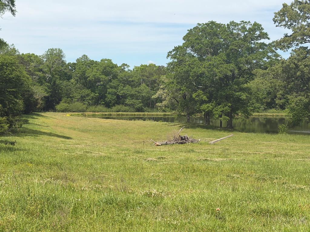 691 County Road 3310