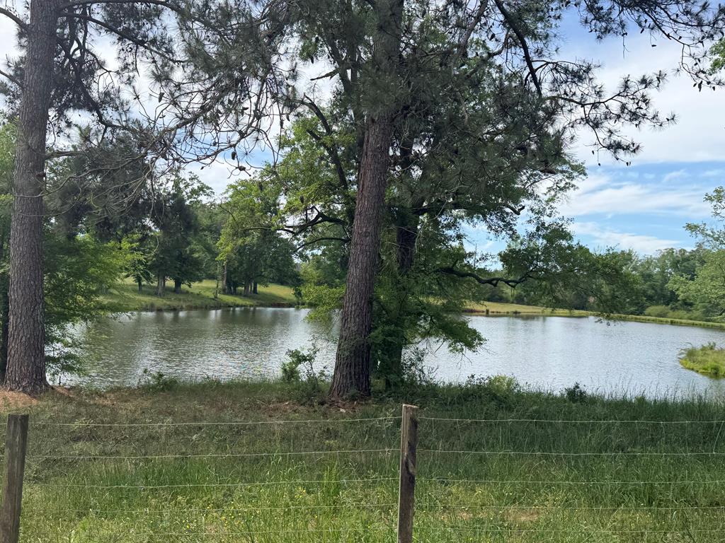 691 County Road 3310