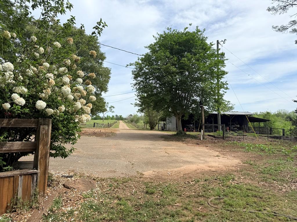 691 County Road 3310