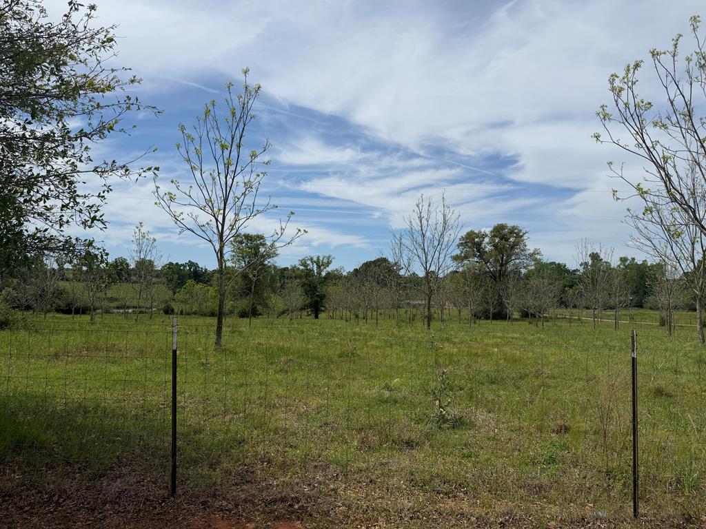 691 County Road 3310