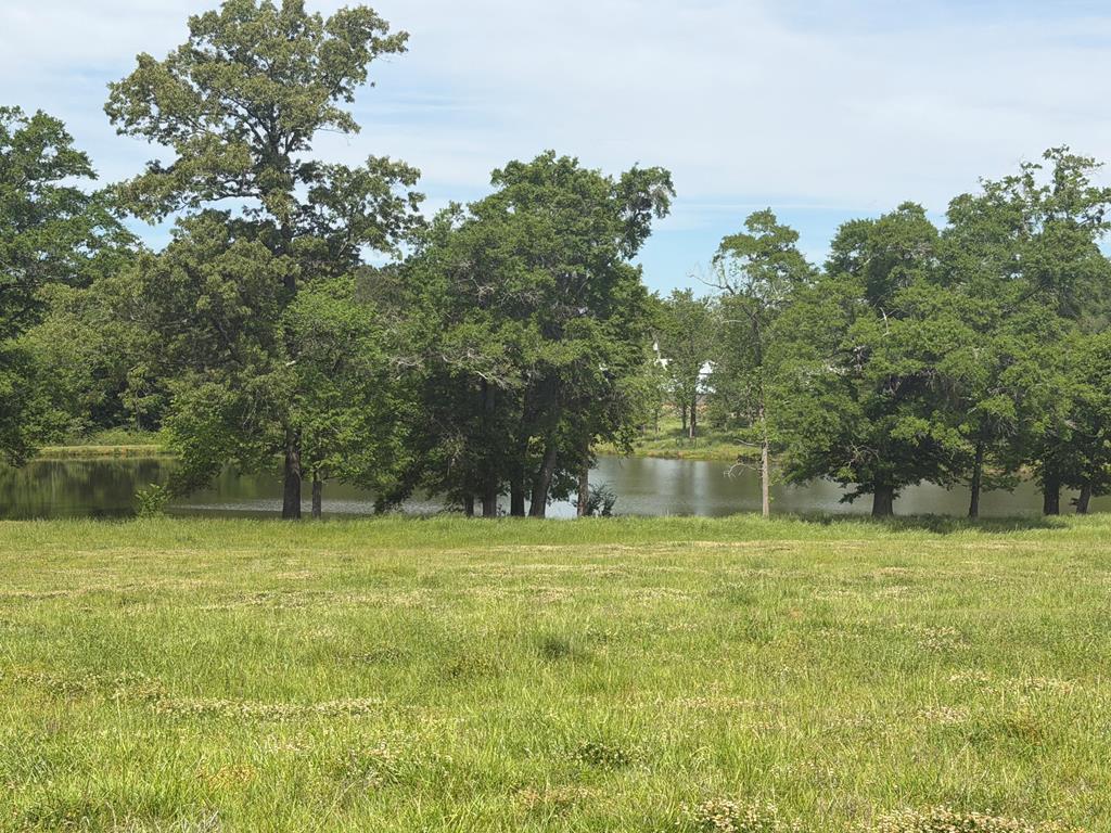 691 County Road 3310