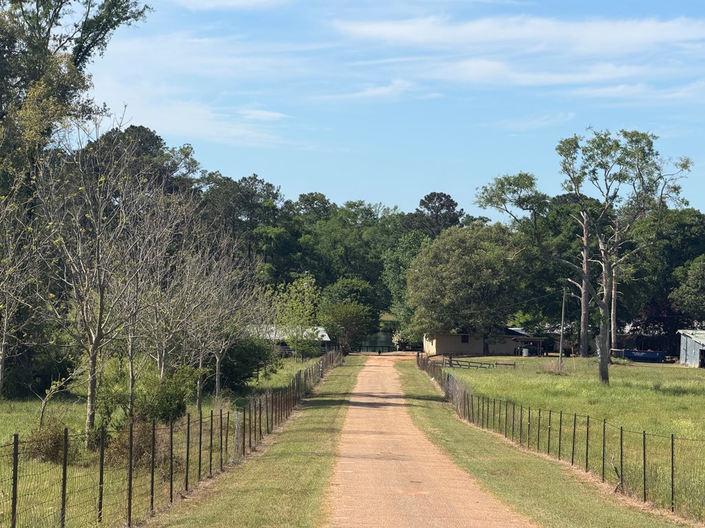 691 County Road 3310