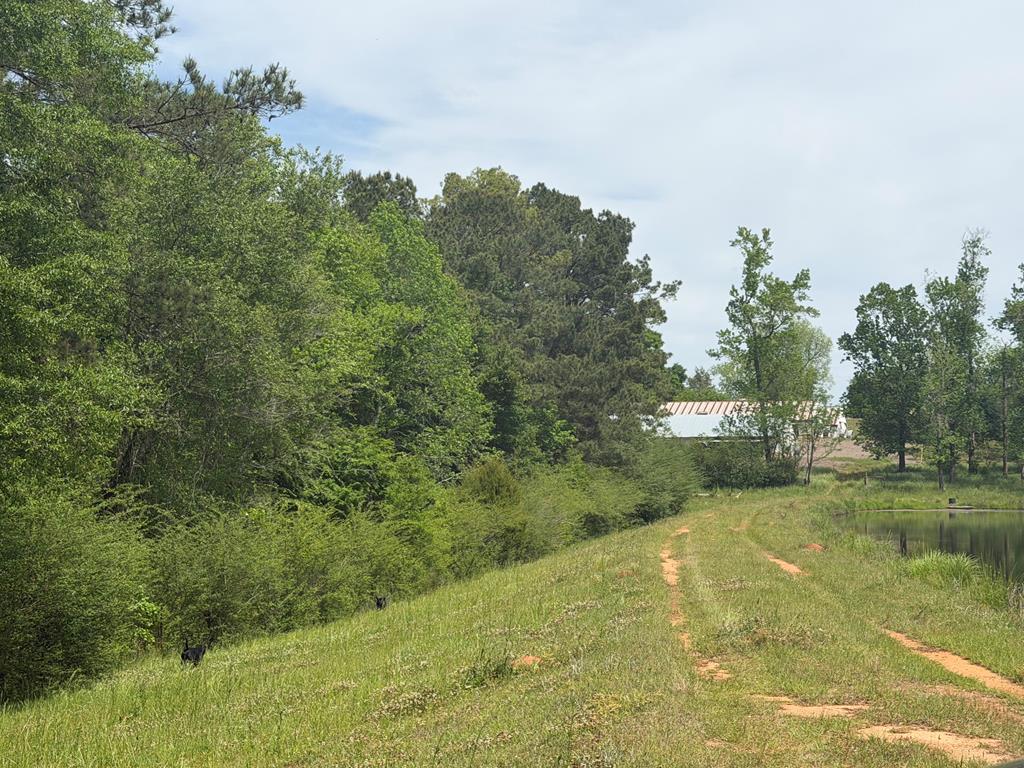 691 County Road 3310