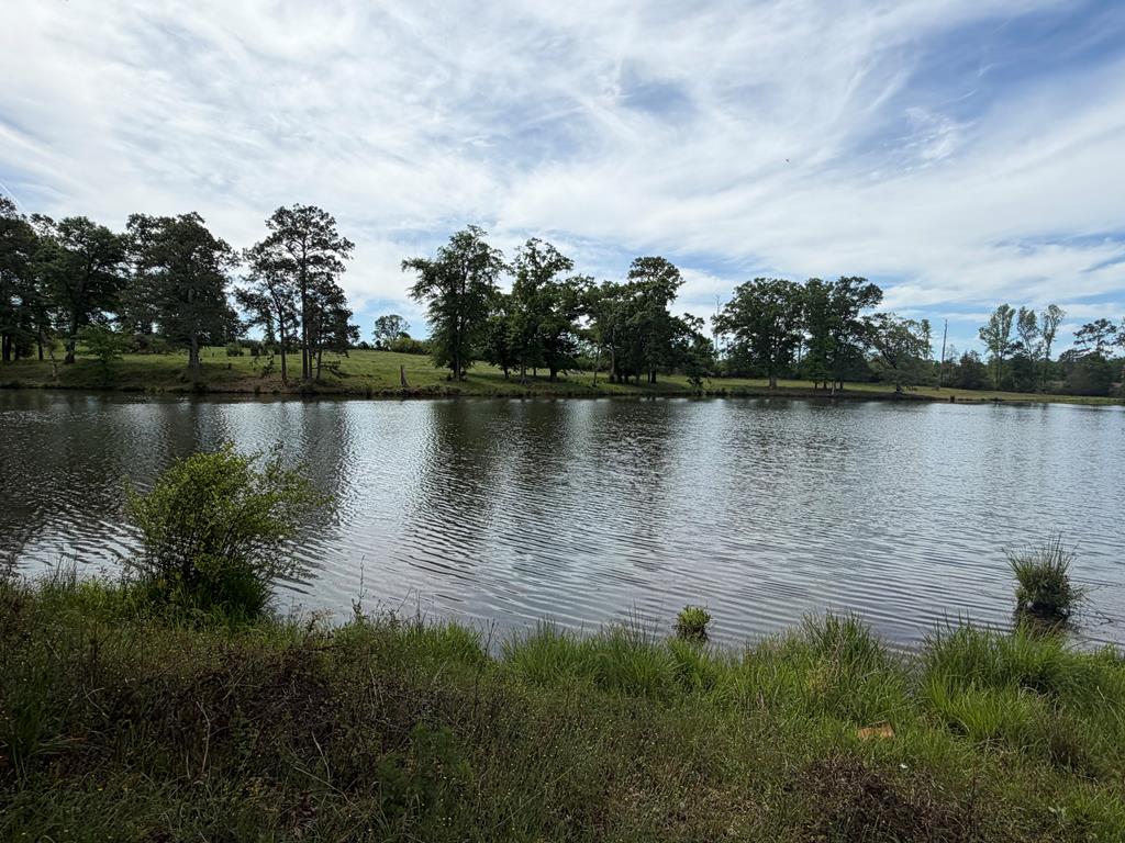 691 County Road 3310