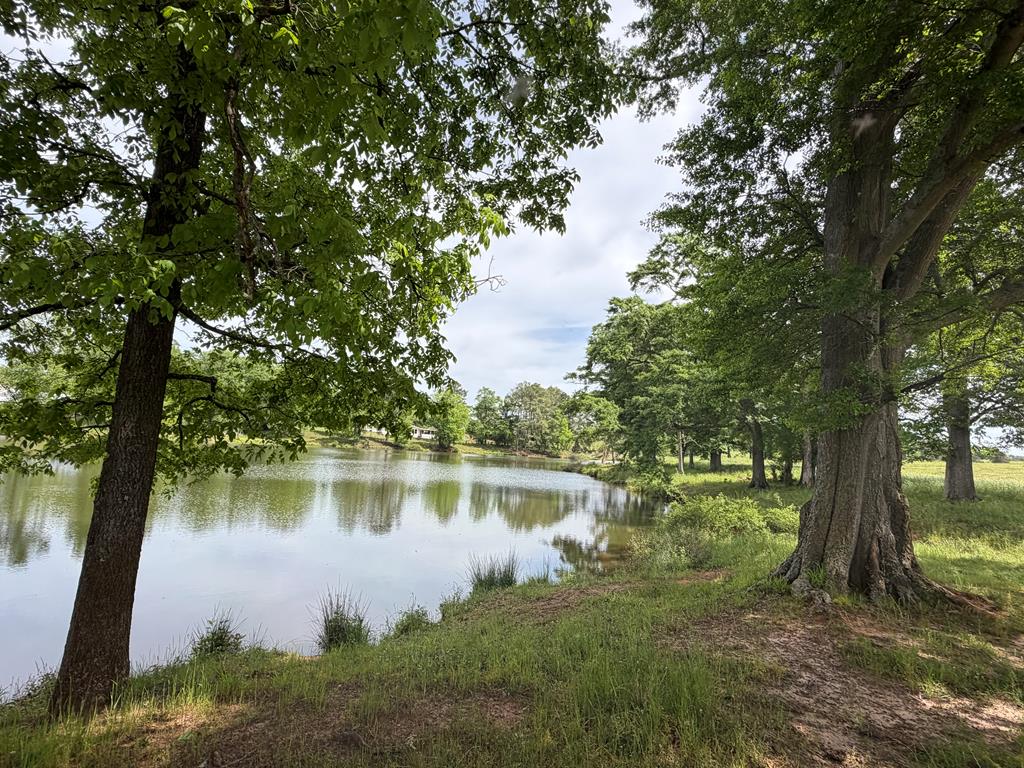 691 County Road 3310