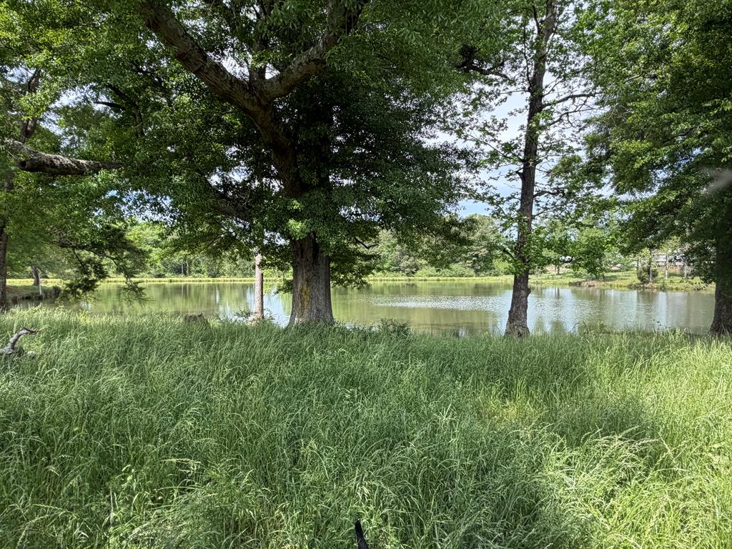 691 County Road 3310