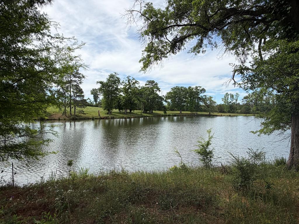 691 County Road 3310