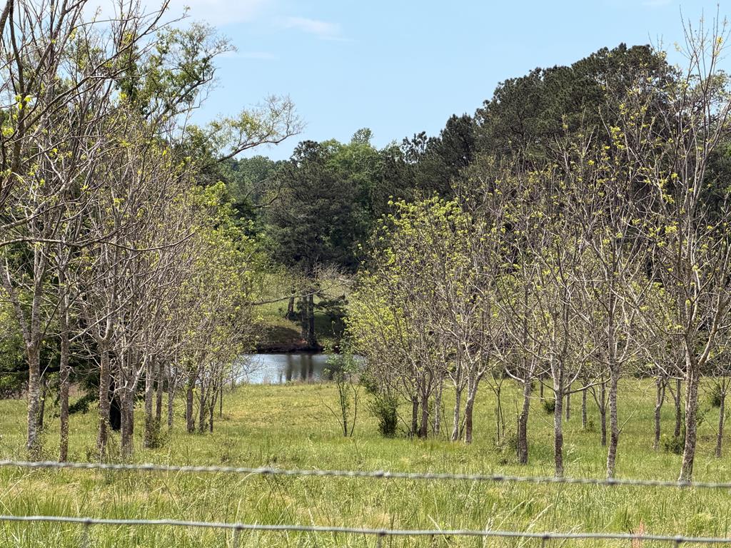 691 County Road 3310