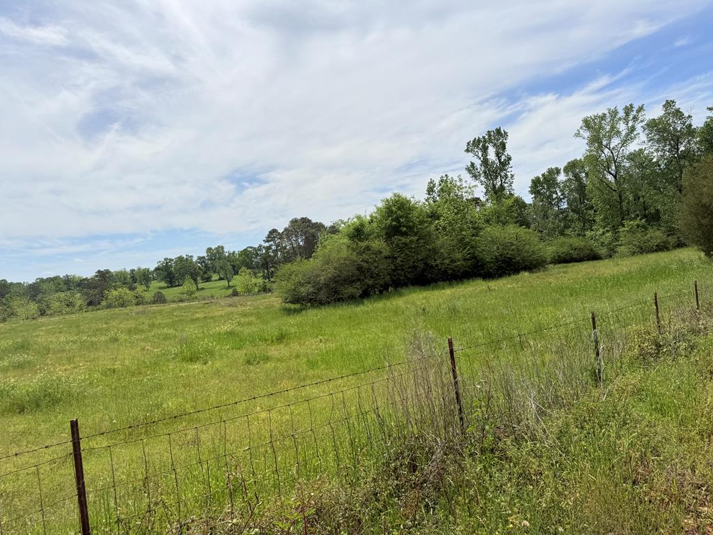 691 County Road 3310