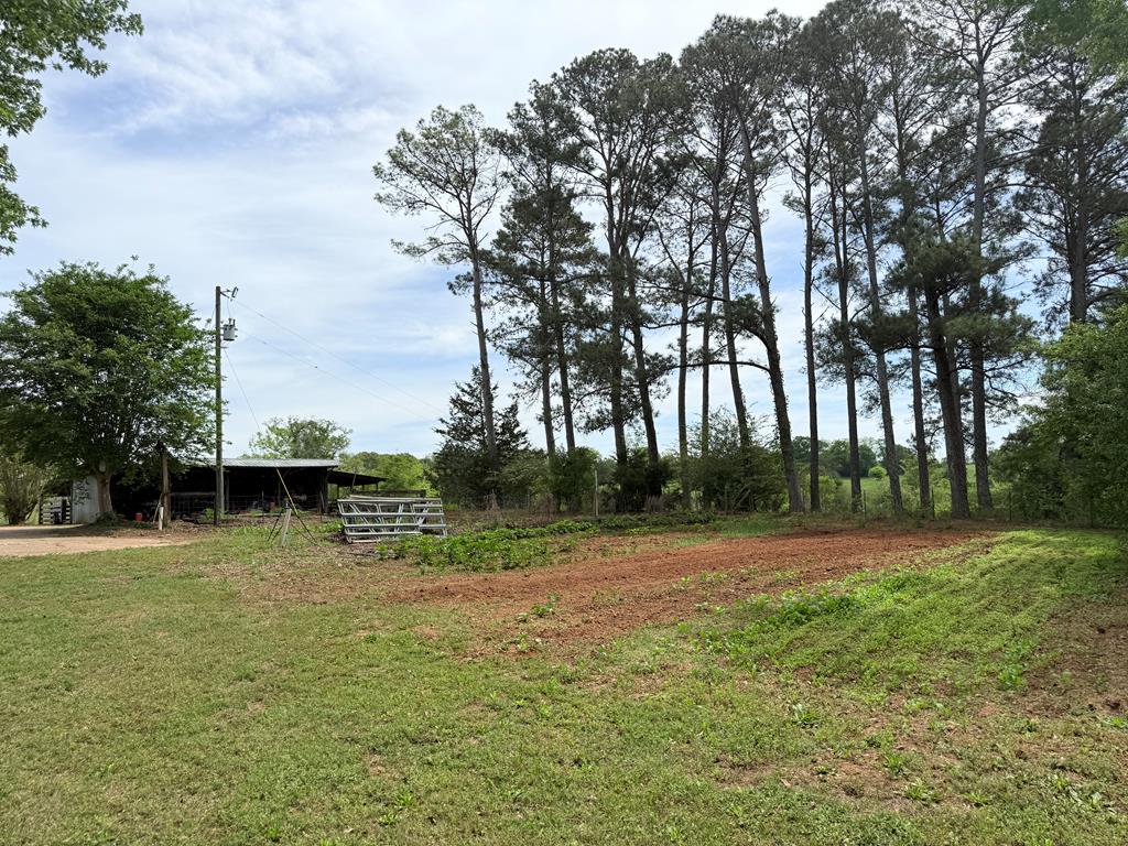 691 County Road 3310