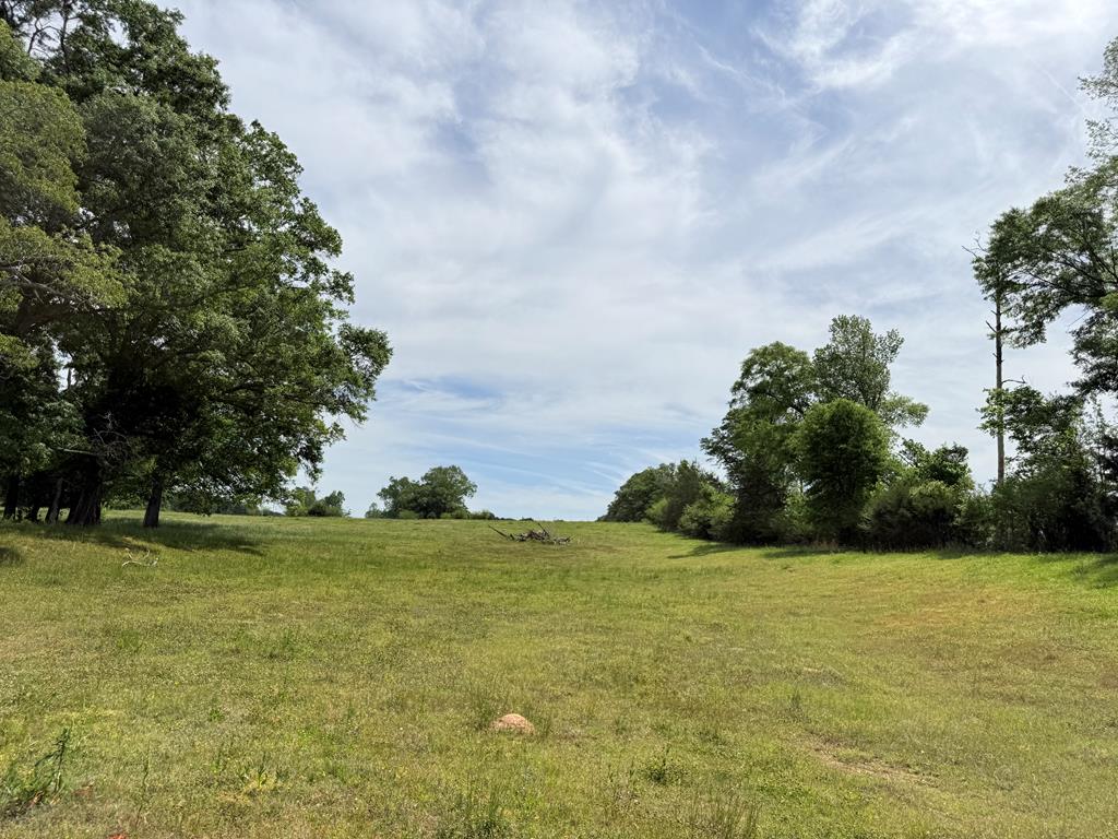 691 County Road 3310