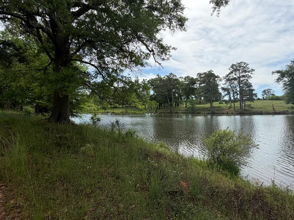 691 County Road 3310