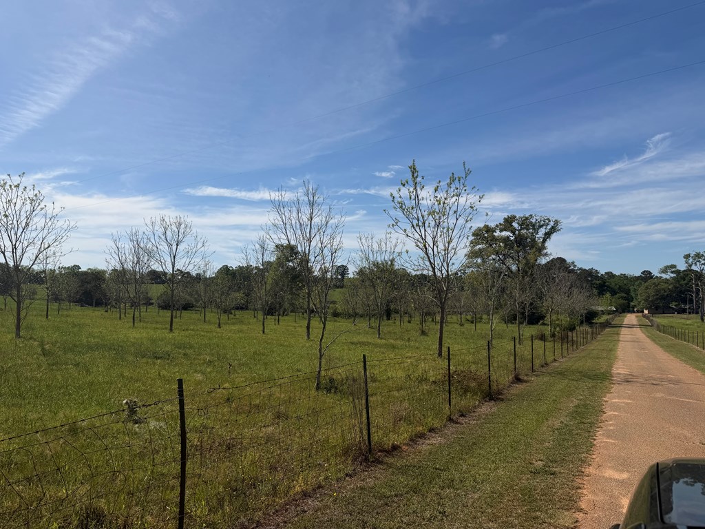 691 County Road 3310