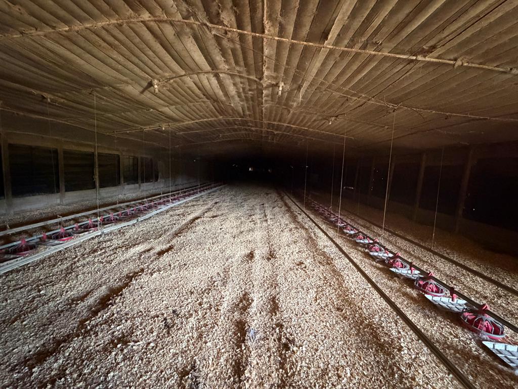 691 County Road 3310