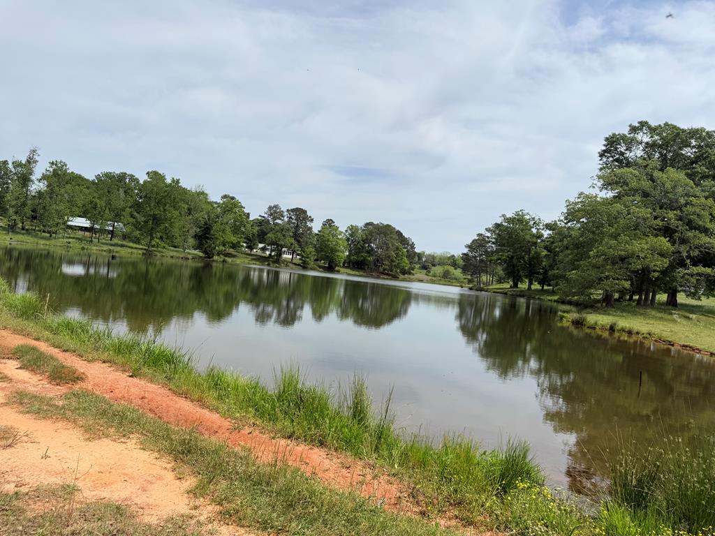 691 County Road 3310