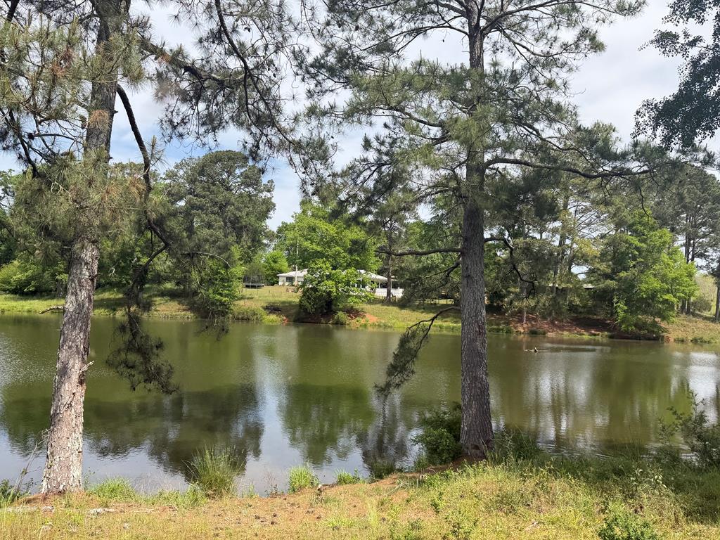 691 County Road 3310