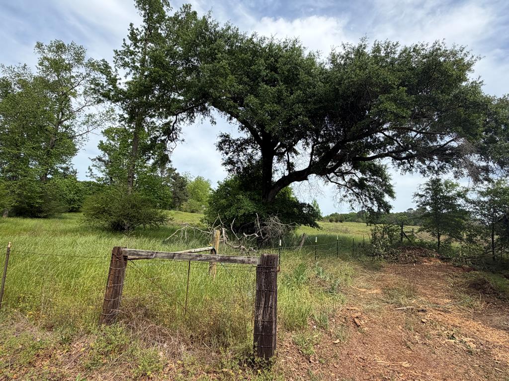 691 County Road 3310