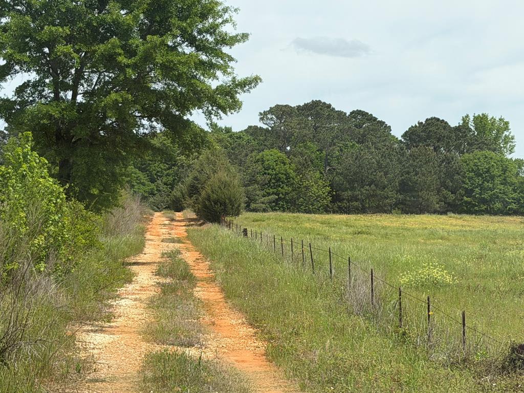 691 County Road 3310