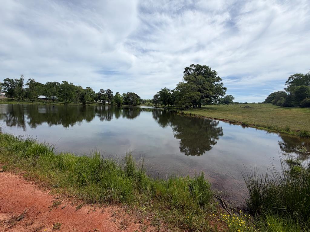 691 County Road 3310