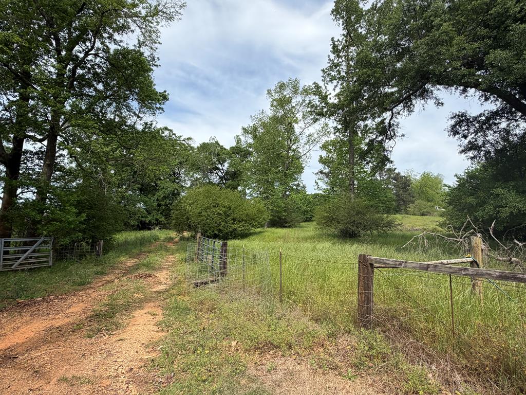 691 County Road 3310