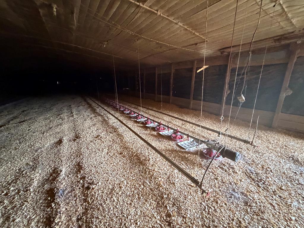 691 County Road 3310