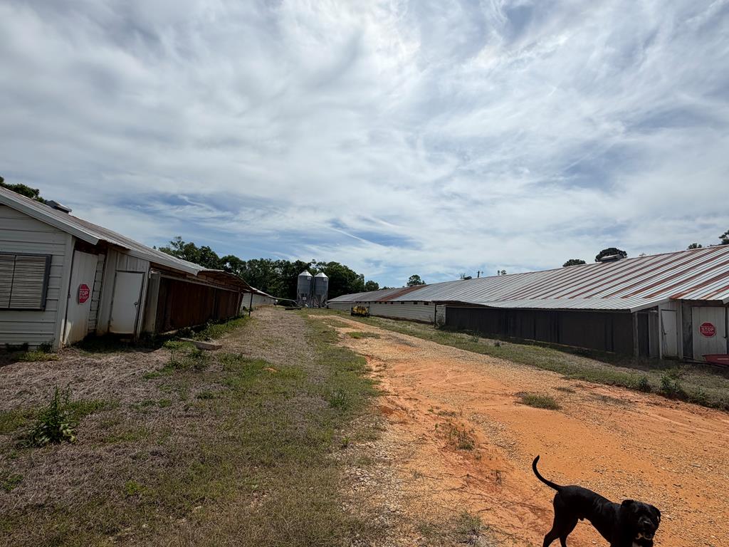 691 County Road 3310