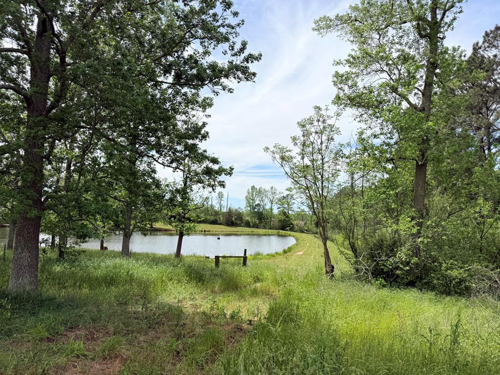 691 County Road 3310