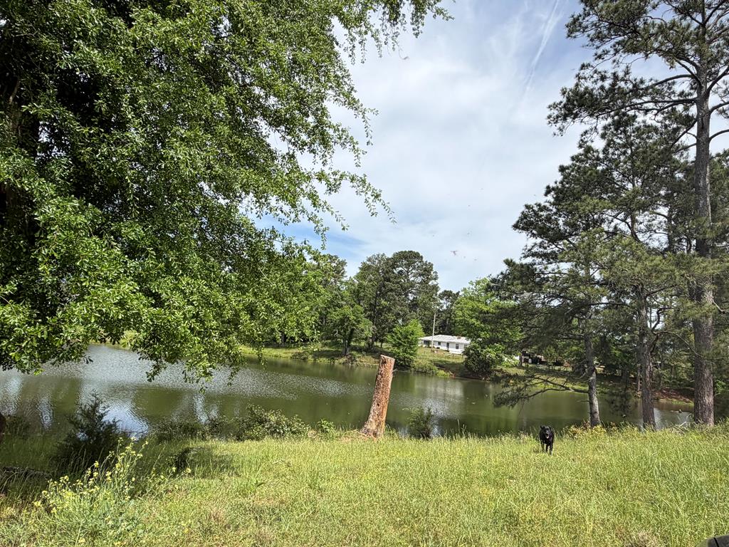 691 County Road 3310