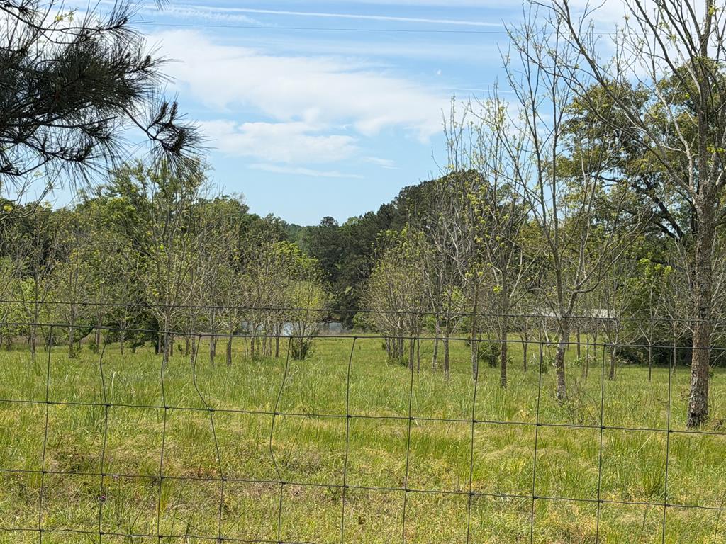 691 County Road 3310