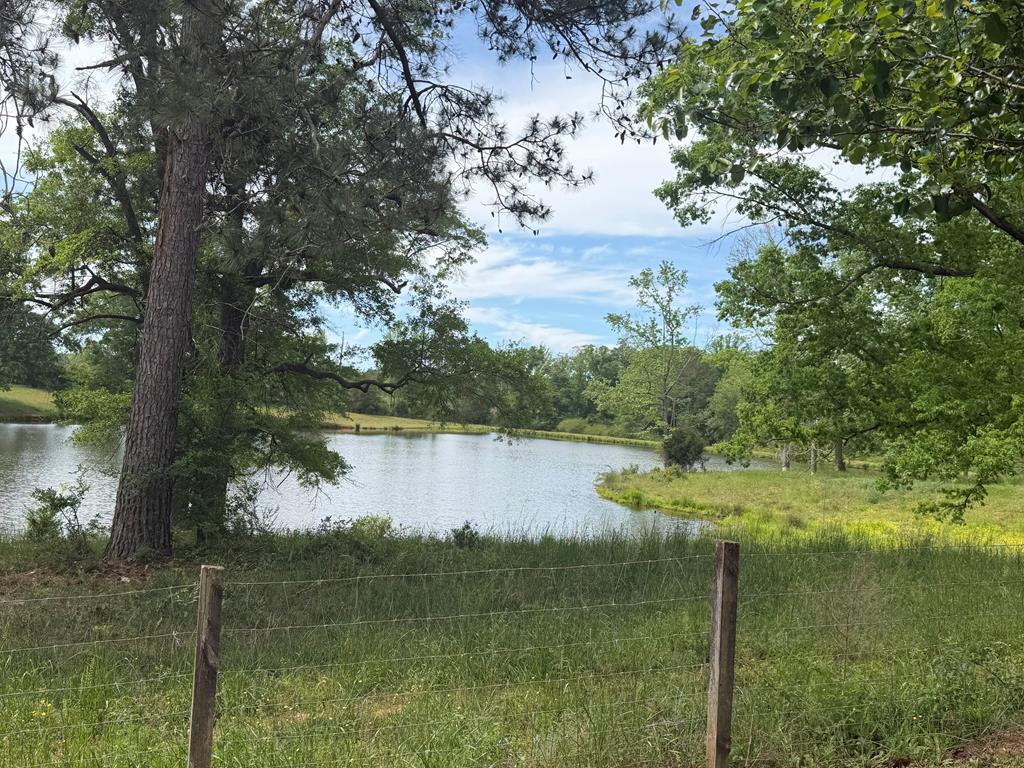 691 County Road 3310