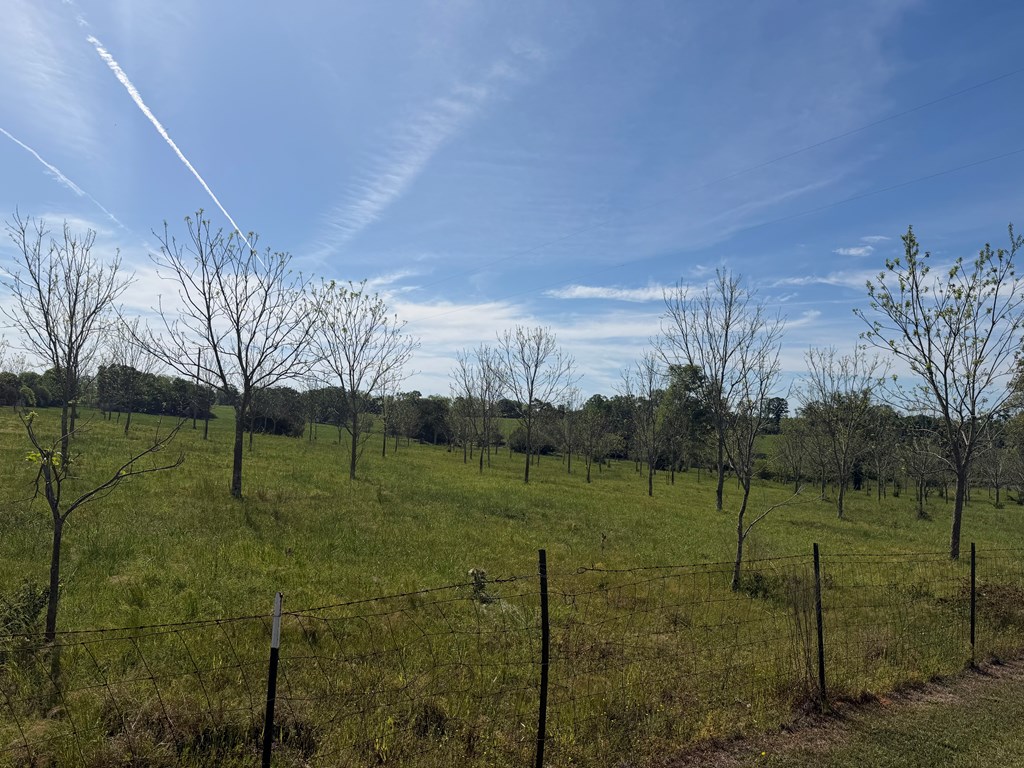 691 County Road 3310