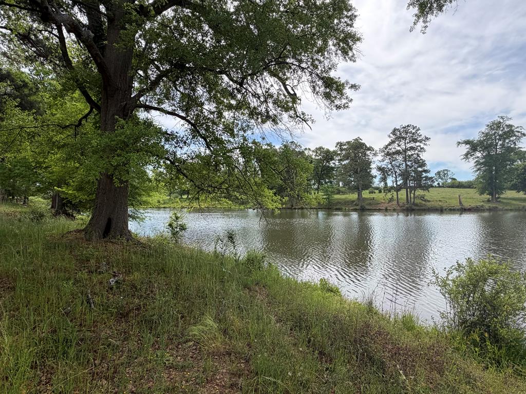 691 County Road 3310