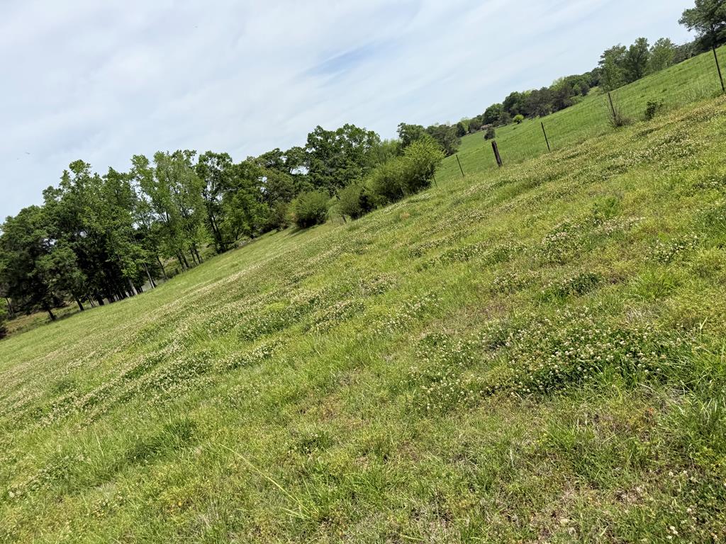 691 County Road 3310