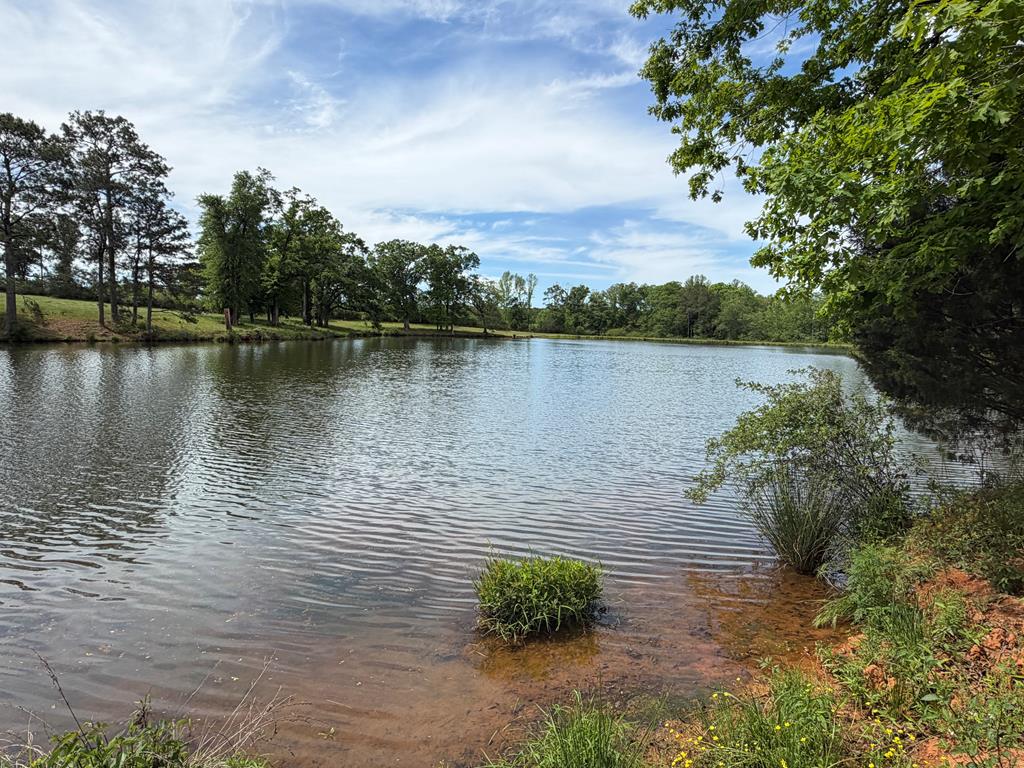 691 County Road 3310