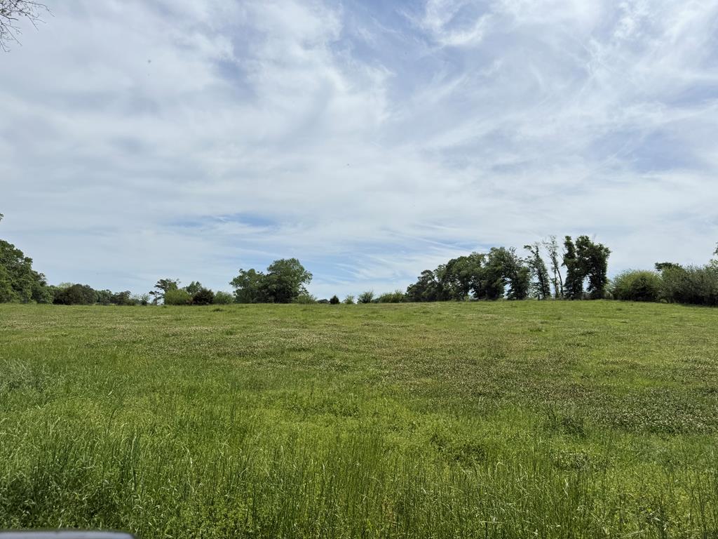 691 County Road 3310