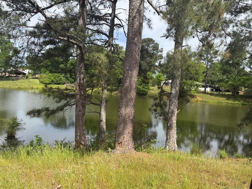 691 County Road 3310